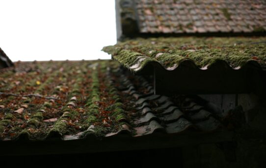 Få bort mossan från taket med skonsamma metoder som håller längre